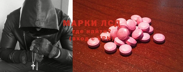 стаф Володарск