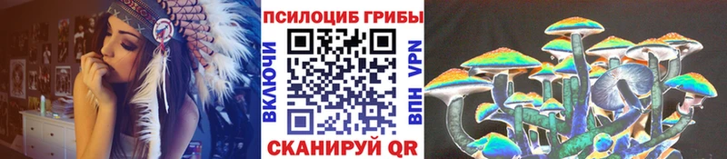 как найти закладки  Ярославль  МЕГА   это телеграм  Галлюциногенные грибы Psilocybe 